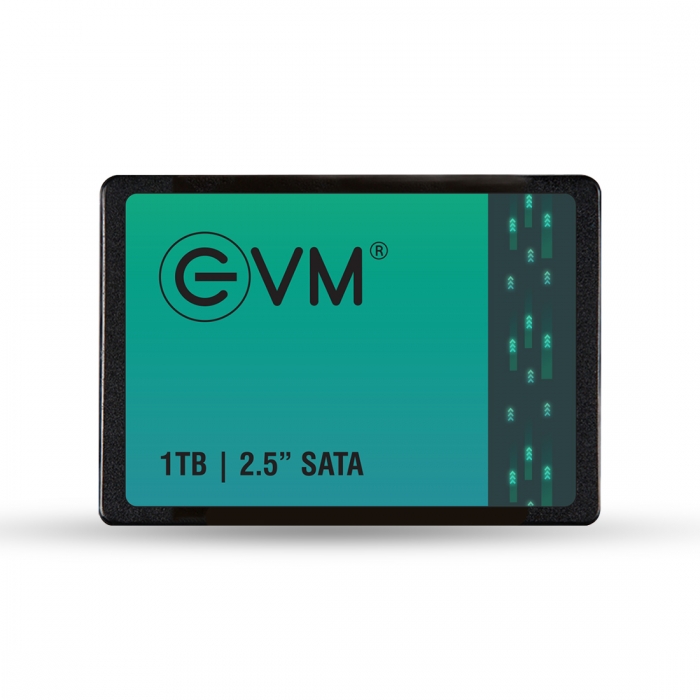 1TB  SSD SATA (EVM25/1TB)